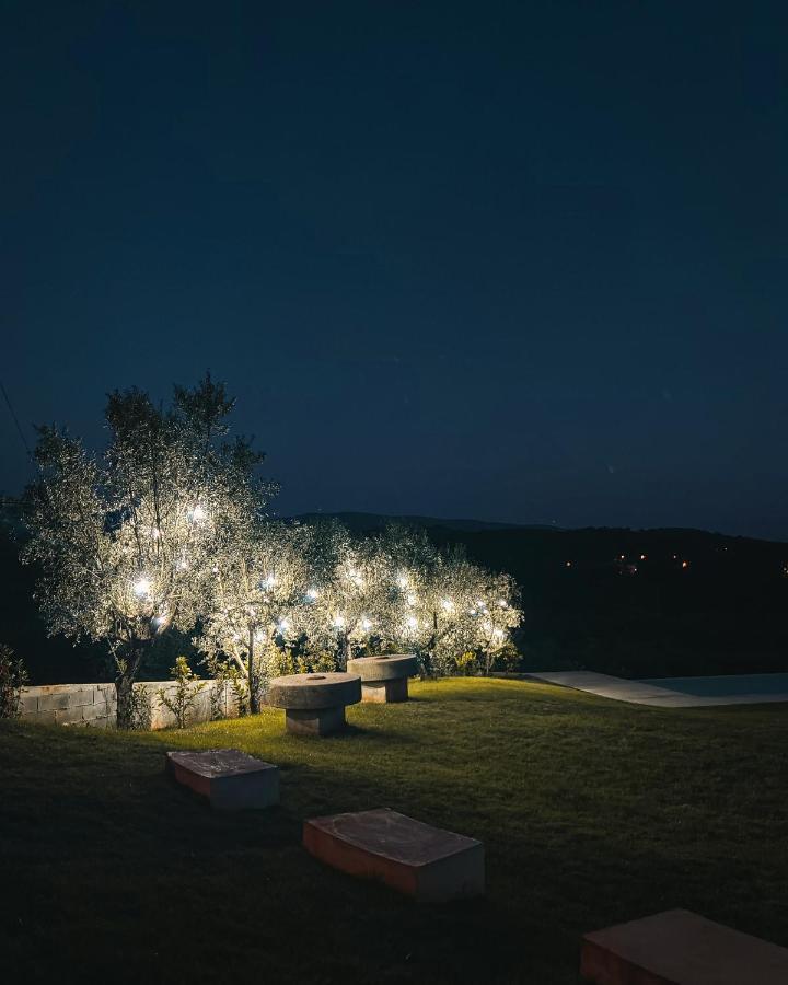 Quinta Dona Iria Ξενοδοχείο Miranda do Corvo Εξωτερικό φωτογραφία